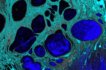 Abstract Ebru Marbling Texture Background