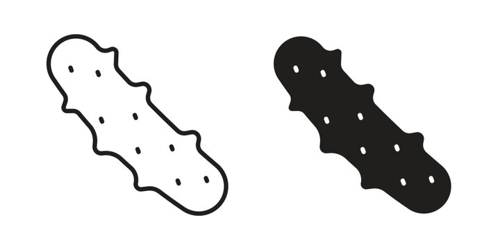 Sea cucumber icon for website, thin line icons. vector logo design