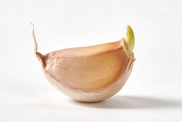 Garlic clove sprouting with green shoots on white background  