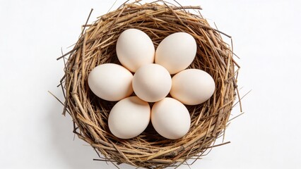 White eggs arranged in a nest with straw on light background  