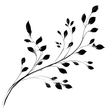 Simple botanical branch with oval leaves in monochrome