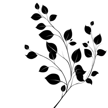 Minimal black plant branch silhouette on white background