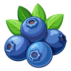 Fresh Blueberries with Green Leaves Vector Illustration