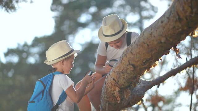 Girl student leans toward tree with magnifier. Boy hiker observes bark as child explorer. Backpack helps kid explore forest. Nature learning inspires child. Explorer girl shares forest moment with boy