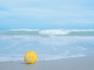 Shell on the beach with ocean waves