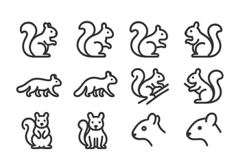 Set of 12 squirrel outline icons on a dark background © Andrei