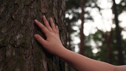 Health kid. Child hand touches bark pine tree trunk. Family picnic with children in nature. Child hand touches tree trunk in park. Connecting with nature. Family walk in forest. Child discovers nature © Victoriia