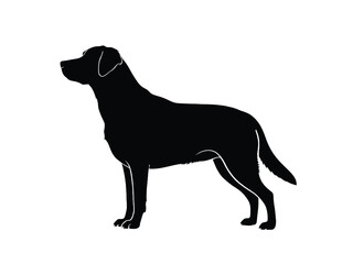 Fototapeta premium A striking silhouette of a labrador retriever in a side profile view