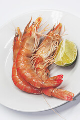 Seafood tasting on a white background