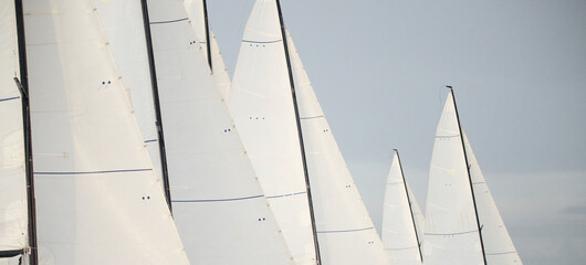 Fototapeta premium multiple sails at the sailing regatta in the Gulf of Finland, hot race of several yachts, nobody