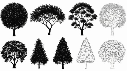 Collection of diverse tree silhouettes in black and white