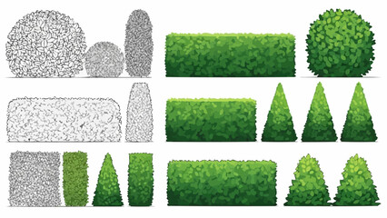 Various green hedges and bushes for landscaping design