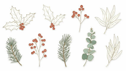 Hand drawn Christmas foliage elements collection