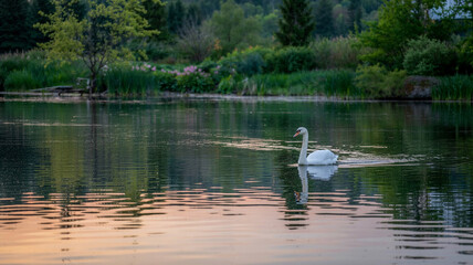 each glide smooth and mesmerizing.
