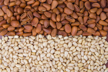 Pine nuts background. Close up of pine nuts for background.