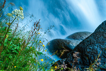Wildflowers grow beside smooth rocks at the edge of a flowing waterfall, where soft motion and fresh green tones create a peaceful and refreshing nature scene.