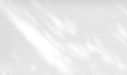 Shadow of leaves tree plant overlay on white wall. Sunlight effect shadow on the wall. Minimal blurred backdrop backgrounds. Summer tropical surface background.