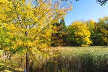 Autumn Landscape of South Park in city of Sofia, Bulgaria