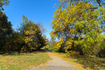 Obraz premium Autumn Landscape of South Park in city of Sofia, Bulgaria