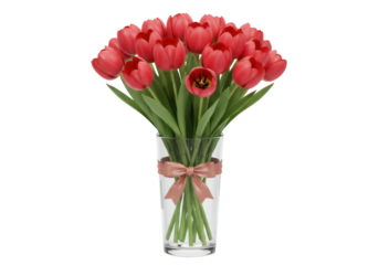 Bouquet of red tulips in a glass vase isolated PNG, spring flowers on transparent background for Mother s Day and Valentine s Day
