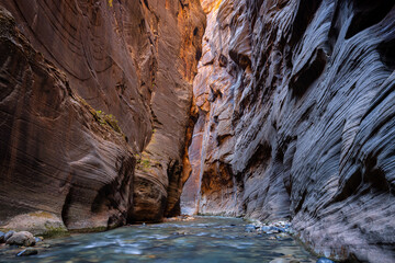 The Narrows, Zion National Park, Utah