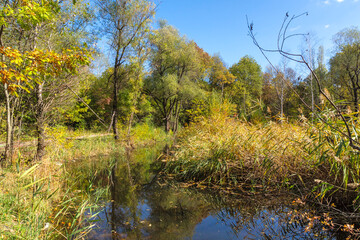 Fototapeta premium Autumn Landscape of South Park in city of Sofia, Bulgaria