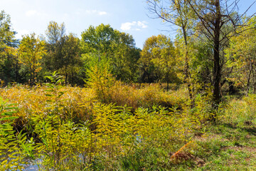 Autumn Landscape of South Park in city of Sofia, Bulgaria