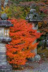 Kyoto in Japan