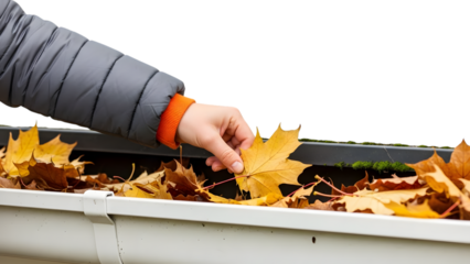 Person cleaning white gutter filled with autumn leaves isolated on a transparent background