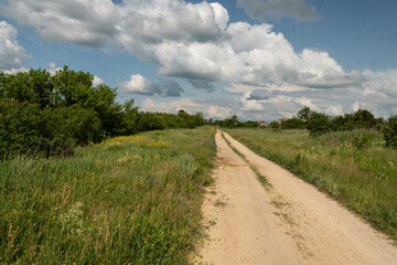 Obraz premium Rural dirt road amidst lush green fields under cloudy sky