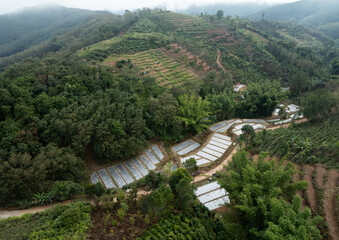 Aerial View of Terraced Fields and Mountain Road in Lush Green Hills

