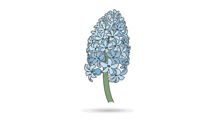 blue hyacinth flower