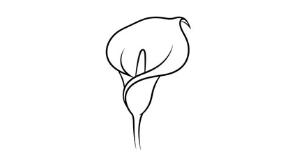 vector illustration of a bird