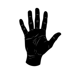 Obraz premium Clean Silhouette of an Open Hand Showing Five Fingers Against a White Background