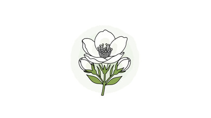 Elegant white flower illustration with green leaves and buds in a circular design.