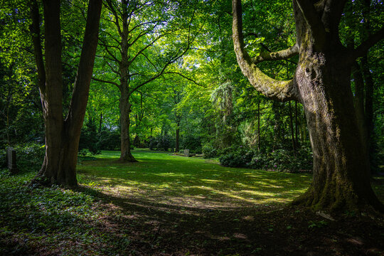 Alter Friedhof im Fr&uuml;hling