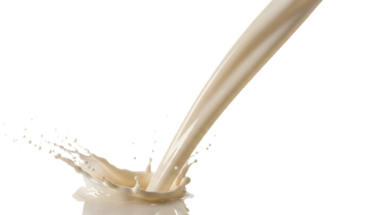 Pouring milk, with splashes white liquid cream dairy, isolated on a white or transparent background, cutout, PNG