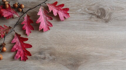 Close up of Red Oak Leaves with Brown Acorns on Faux Painted Light Blue Wood Surface for Fall Background Texture