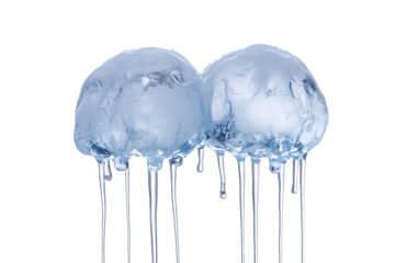 3 single big bubbles of ice starting to melt into each other with long drips coming off them 4k isolated white background
