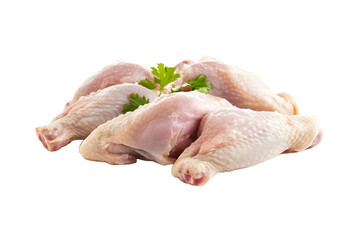 Raw fresh chicken clipping path on white background isolated