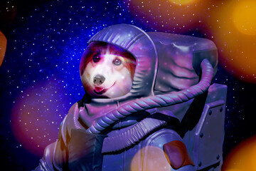 Obraz premium Dog astronaut wearing special suit in space
