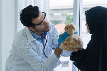 Professional male veterinarian examining orange Persian kitten held by Muslim woman owner in hijab. Vet doctor checking cute fluffy cat health during clinic appointment concept.