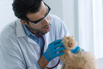 Professional male veterinarian examining orange Persian cat in clinic. Vet doctor wearing safety glasses and blue gloves checking fluffy kitten health during medical appointment.