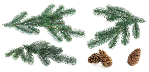 Fir tree branches and cones isolated on white, set © New Africa
