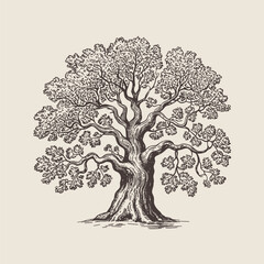 Single big Oak tree design illustration