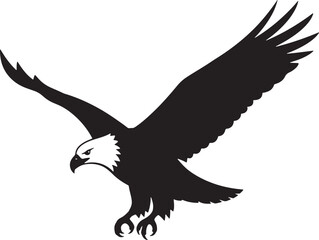 Obraz premium Majestic Bald Eagle Soaring Black Silhouette White Head Detail.