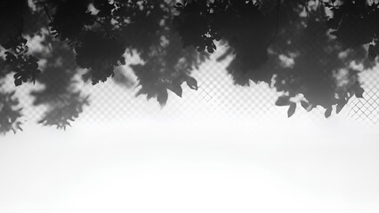 Obraz premium Silhouetted foliage against a bright sky with subtle gradient effect