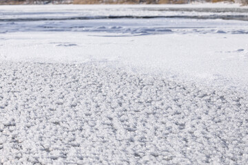 北海道むかわ町、鵡川に現れたフロストフラワー【12月】