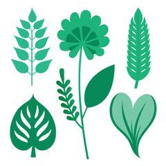 Collection of six green botanical illustrations of bottle gourds, detailed, scientific, isolated on white