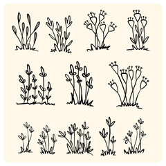 Hand Drawn Minimalist Wild Grass and Flower Bushes Set